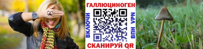 Купить где  Горно-Алтайск  Галлюциногенные грибы прущие грибы 
